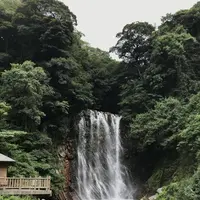 丸尾滝の写真・動画_image_410153