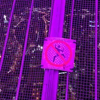 ＣＮタワー（CN Tower）の写真・動画_image_442591