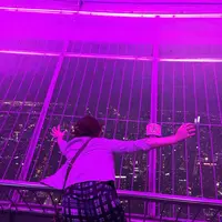 ＣＮタワー（CN Tower）の写真・動画_image_442592