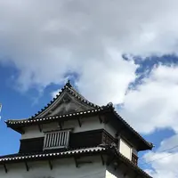 福岡城潮見櫓の写真・動画_image_451784