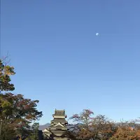 松本城の写真・動画_image_453998
