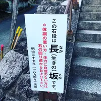 大興善寺の写真・動画_image_460276
