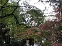 大興善寺の写真・動画_image_460279