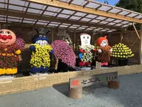 宗像大社の写真・動画_image_460381
