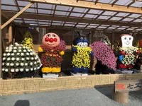 宗像大社の写真・動画_image_460385