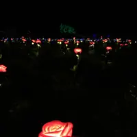 茨城県フラワーパークの写真・動画_image_474266