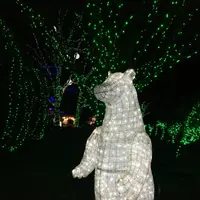 茨城県フラワーパークの写真・動画_image_474267