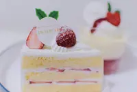 EN VEDETTEの写真・動画_image_476714