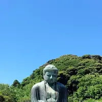 鎌倉大仏（高徳院）の写真・動画_image_485355