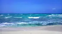 ハテの浜の写真・動画_image_489706