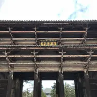 奈良公園の写真・動画_image_490789