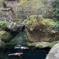 京都市の写真・動画_image_493068