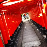 川原神社の写真・動画_image_496291