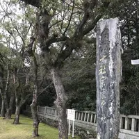 宗像大社の写真・動画_image_505870