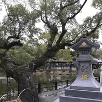 宗像大社の写真・動画_image_505871