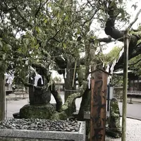宮地嶽神社の写真・動画_image_505891