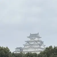 姫路城の写真・動画_image_514586