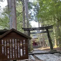 滝尾神社の写真・動画_image_518843