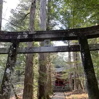 滝尾神社の写真・動画_image_518845