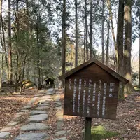 滝尾神社の写真・動画_image_518962