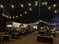 チームラボ  森と湖の光の祭の写真・動画_image_519327