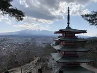 新倉富士浅間神社の写真・動画_image_530117