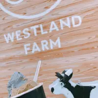 清水牧場／WESTLAND FARMの写真・動画_image_537147