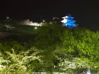 丸亀城の写真・動画_image_544141