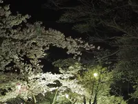 丸亀城の写真・動画_image_544142