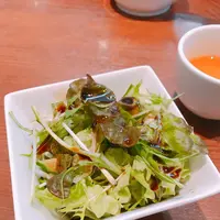 台湾料理 KANAEの写真・動画_image_548015