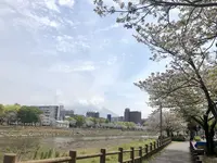 松方橋の写真・動画_image_550828