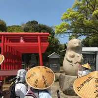 屋島神社の写真・動画_image_555090