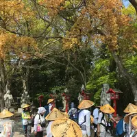 屋島神社の写真・動画_image_555093
