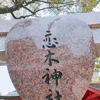 恋木神社の写真・動画_image_556773