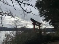 箱根神社 平和の鳥居の写真・動画_image_557441
