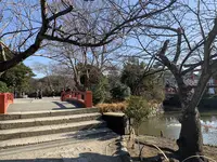 鶴岡八幡宮の写真・動画_image_557507