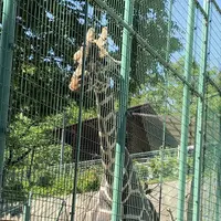 桐生が岡動物園の写真・動画_image_563846