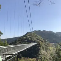 綾の照葉大吊橋の写真・動画_image_577158