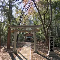 靜火神社の写真・動画_image_578346
