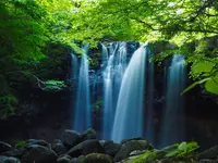 乙女の滝の写真・動画_image_584384