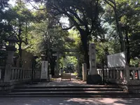 赤坂氷川神社の写真・動画_image_600392