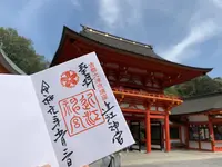 近江神宮の写真・動画_image_605911