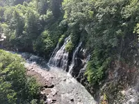 白ひげの滝の写真・動画_image_608810