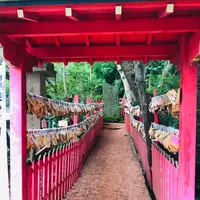 石浦神社の写真・動画_image_613009