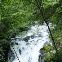 八千穂高原自然園の写真・動画_image_623023