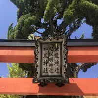 白山神社本殿の写真・動画_image_635811