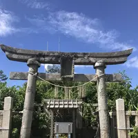 弥彦神社御神廟の写真・動画_image_635816