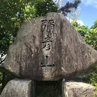 弥彦神社御神廟の写真・動画_image_635818