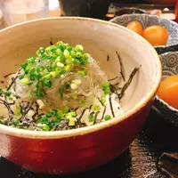 しらすカフェの写真・動画_image_638959