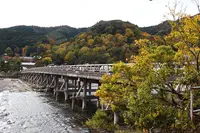 渡月橋の写真・動画_image_639625